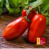 Tomate Espagnole
